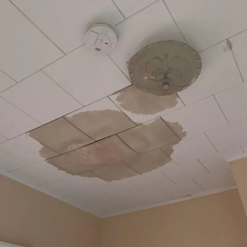 Ceiling Water Damage Repair in Sunflower, MS