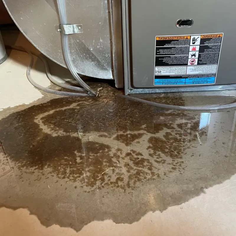 Pipe Burst and Leak Restoration in Sunflower, MS
