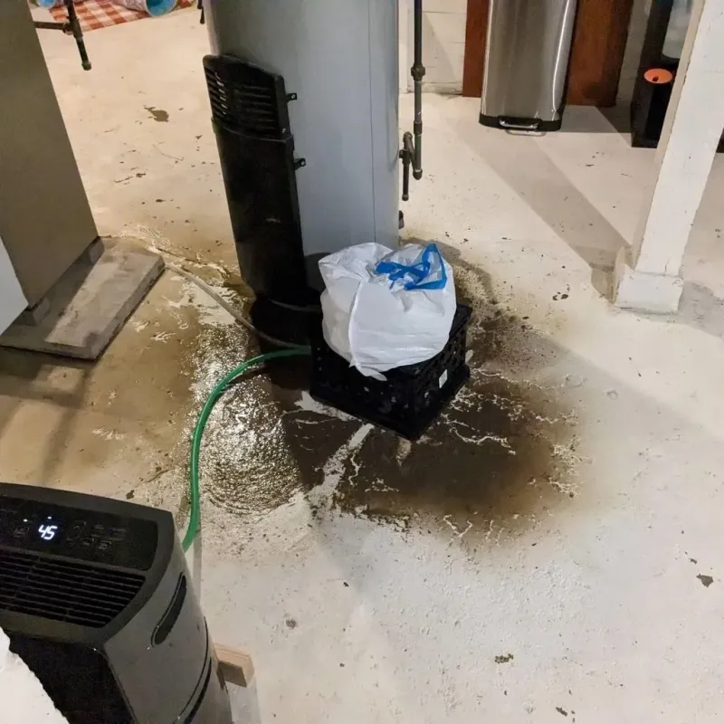 Sewage Backup Cleanup Service in Sunflower, MS